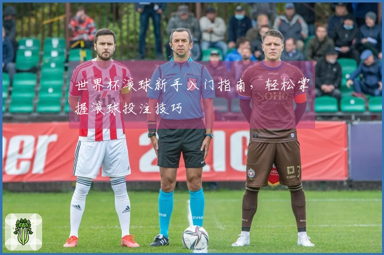 世界杯滚球新手入门指南，轻松掌握滚球投注技巧