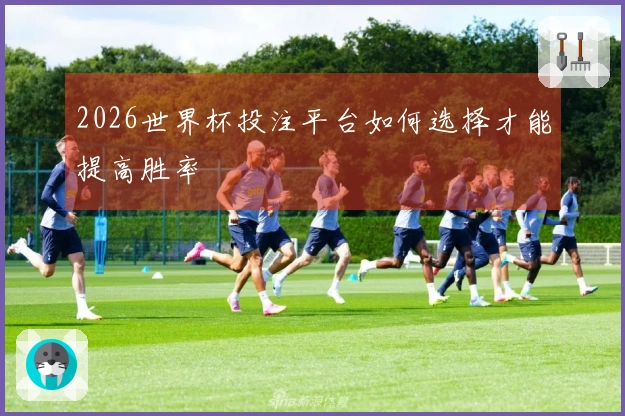 2026世界杯投注平台如何选择才能提高胜率
