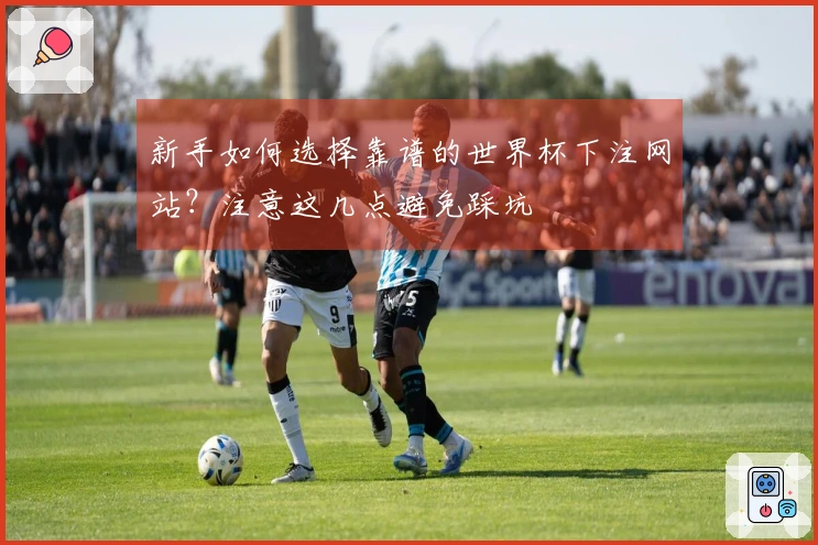 新手如何选择靠谱的世界杯下注网站？注意这几点避免踩坑