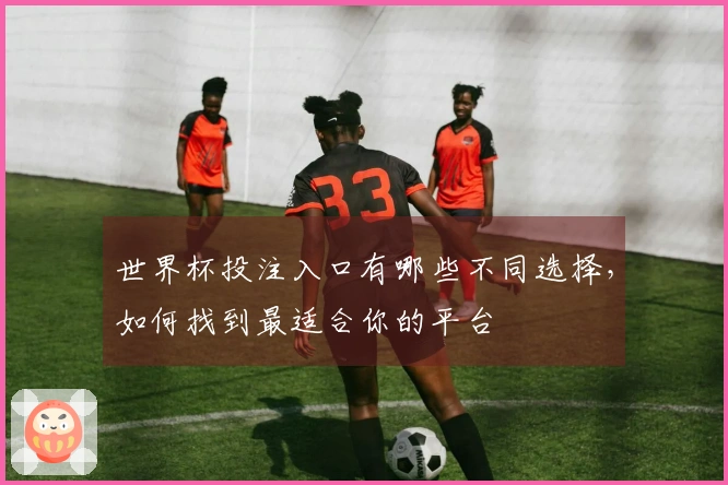 世界杯投注入口有哪些不同选择，如何找到最适合你的平台