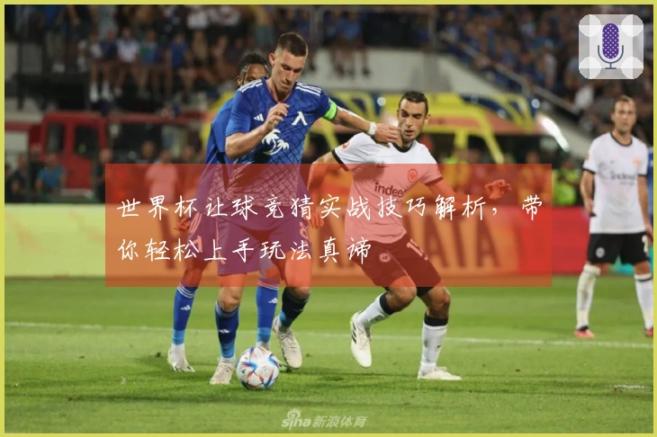 世界杯让球竞猜实战技巧解析，带你轻松上手玩法真谛