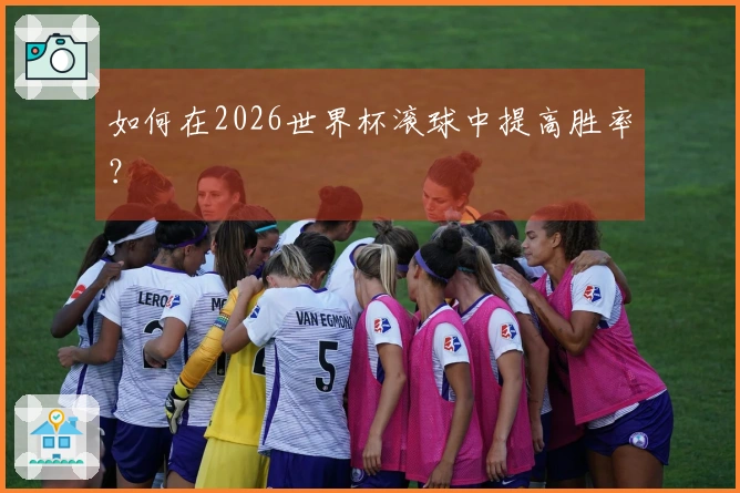 如何在2026世界杯滚球中提高胜率？