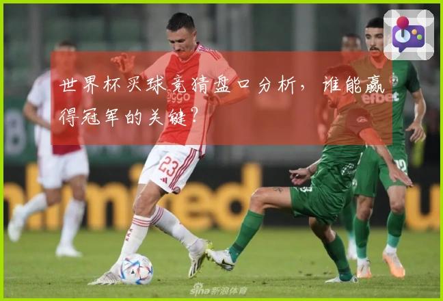 世界杯买球竞猜盘口分析，谁能赢得冠军的关键？