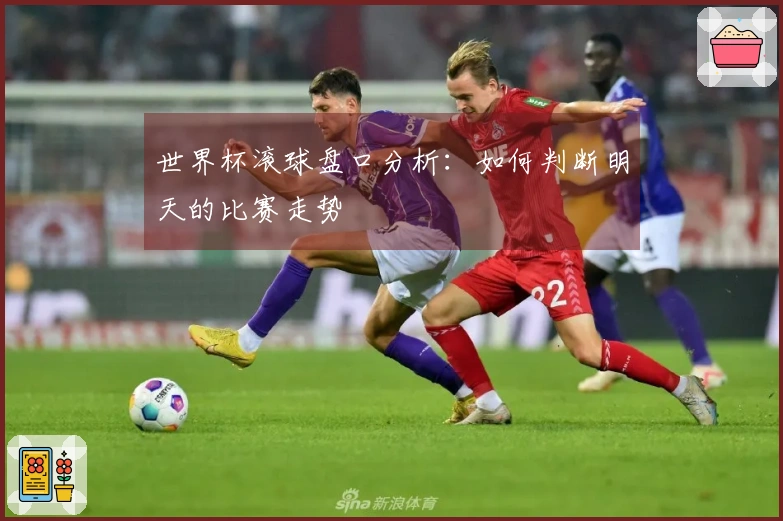 世界杯滚球盘口分析：如何判断明天的比赛走势
