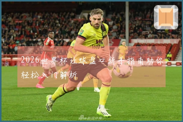 2026世界杯让球盘口新手指南助你轻松入门解析