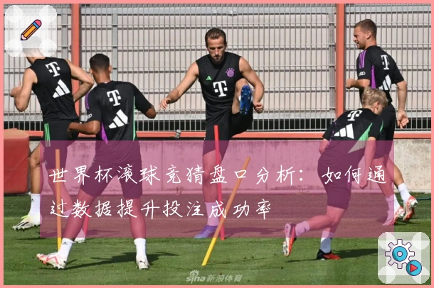 世界杯滚球竞猜盘口分析：如何通过数据提升投注成功率