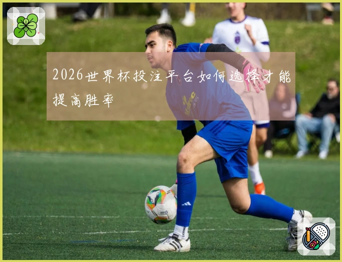 2026世界杯投注平台如何选择才能提高胜率