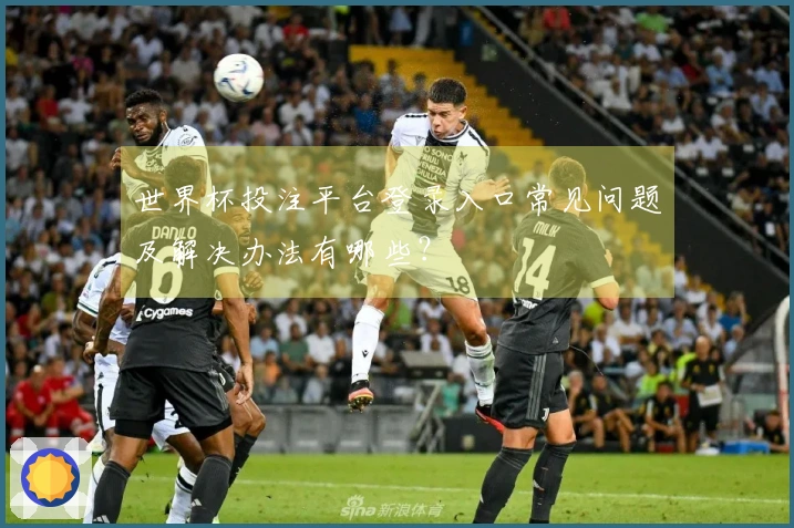 世界杯投注平台登录入口常见问题及解决办法有哪些？